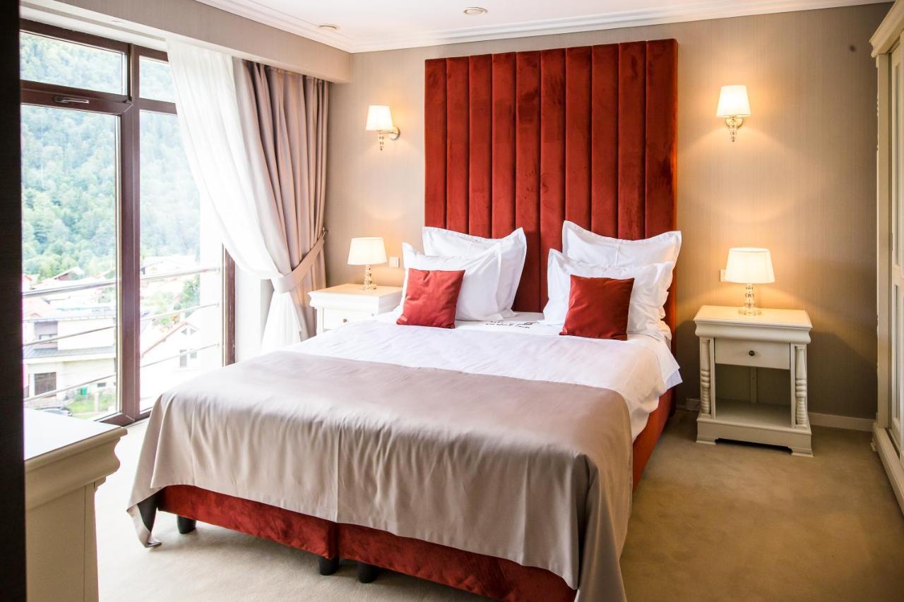 Hotel Carpat Inn Azuga Zewnętrze zdjęcie