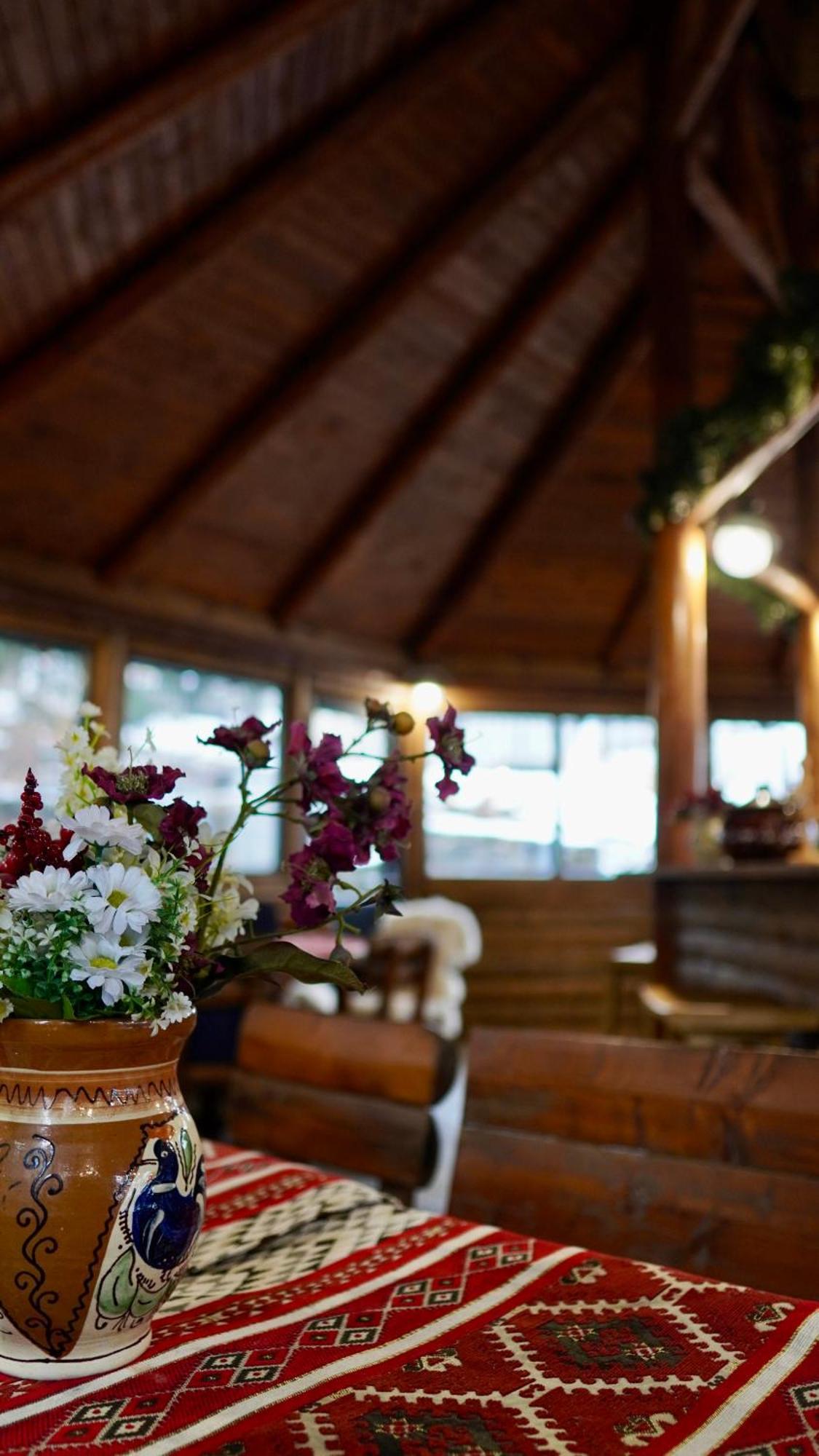 Hotel Carpat Inn Azuga Zewnętrze zdjęcie
